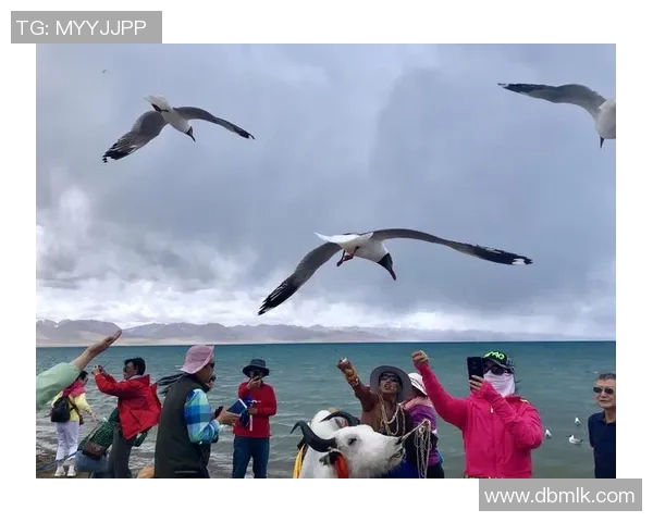 琼斯的传奇人生与不凡成就探索之旅 琼斯的传奇人生与不凡成就探索之旅