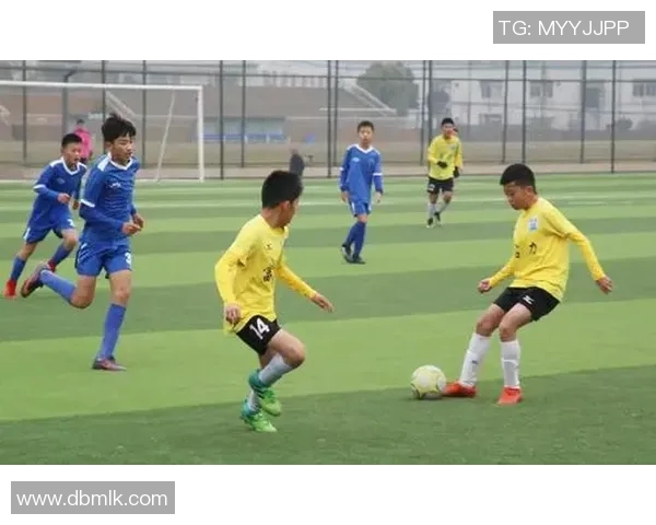 大连与富力对决分析：战术布局与球员表现的全面解读