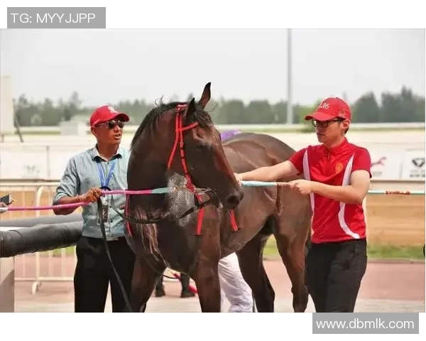 北京网球队速度之争引发热议球迷与专家各执己见探讨真相
