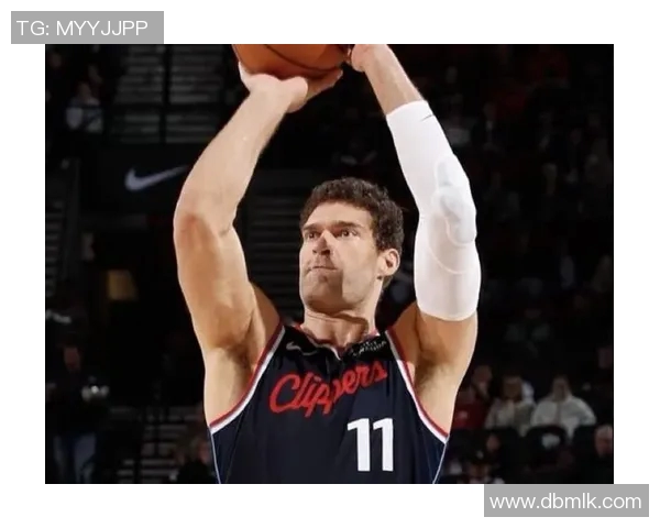 布鲁克洛佩斯:从篮筐之下的巨人到NBA的防守壁垒 布鲁克洛佩斯:从篮筐之下的巨人到NBA的防守壁垒